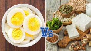 Vegetarian Protein Power: 20 Plant-Based Foods Packing More Punch Than an Egg