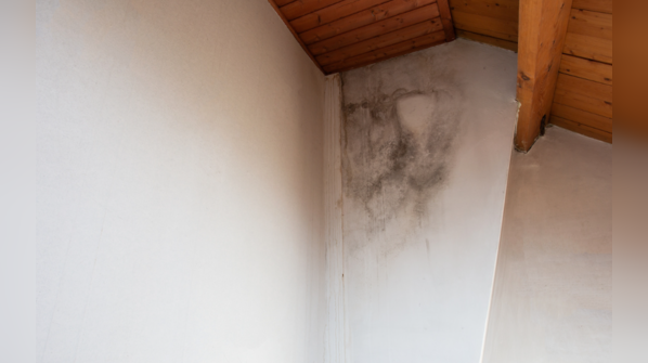 Mold growing on a damp wall in a bedroom.
