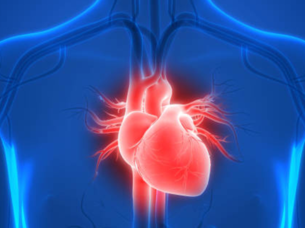 Water for a healthy heart