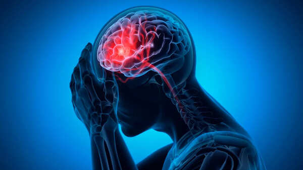 Illustration of the brain highlighting the uncinate fasciculus